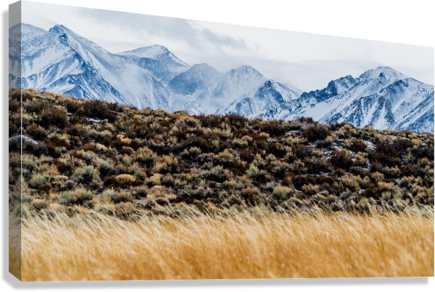 Mammoth Flat Lands Canvas Print