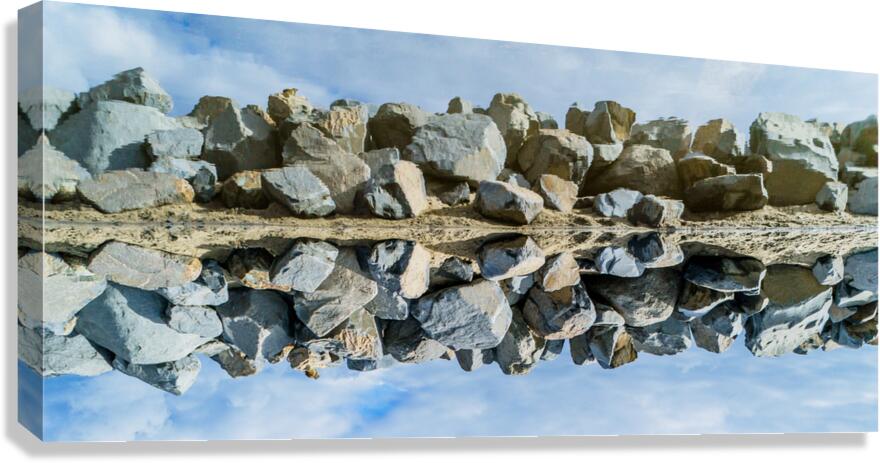 Reflect Canvas Print
