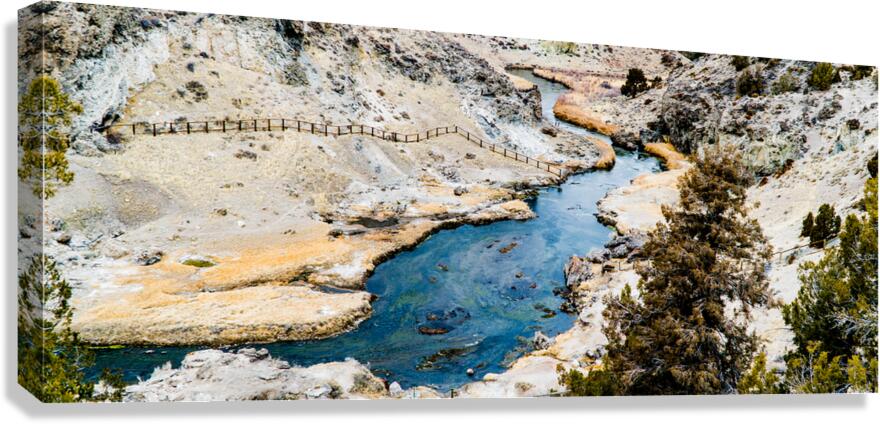 Mammoth Elements Canvas Print