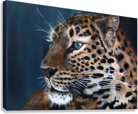 Contemplar Canvas Print