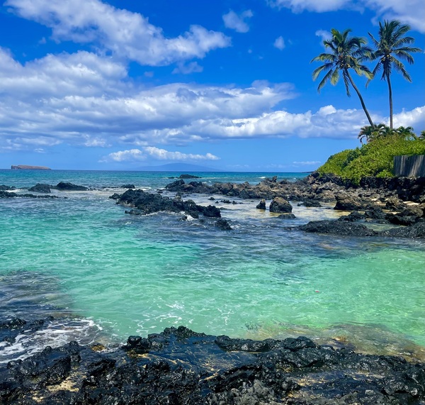 Eclipsed Paradise by Kris Booth