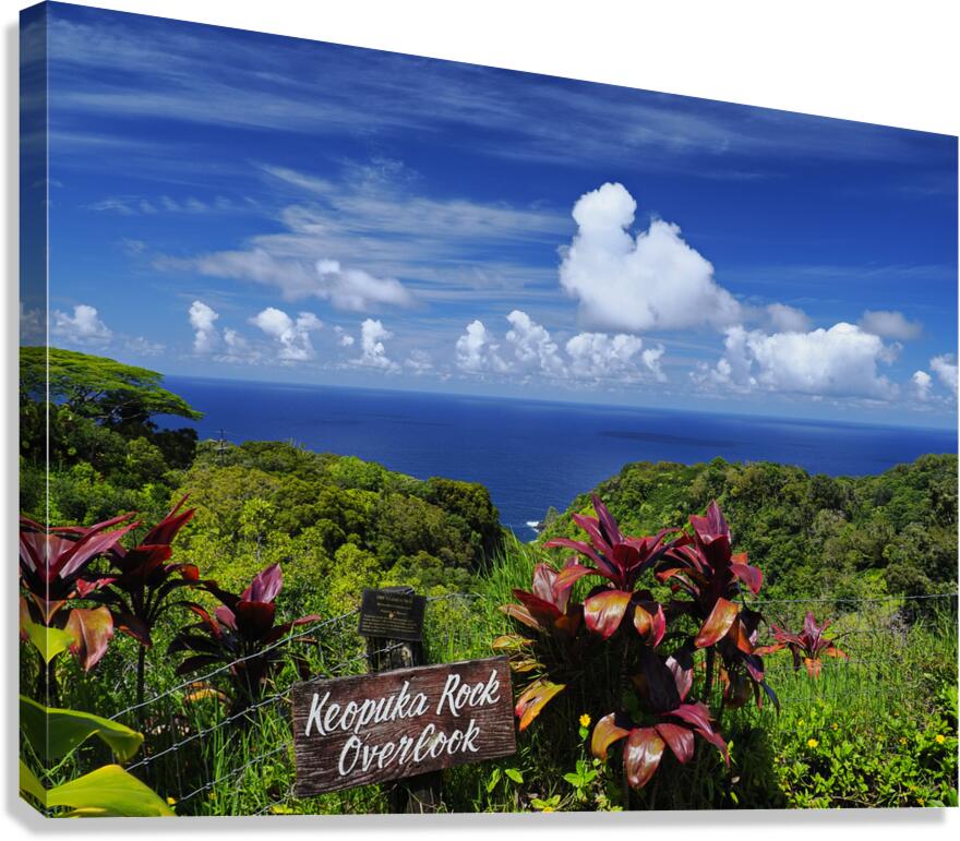 The Edge of Serenity  Canvas Print