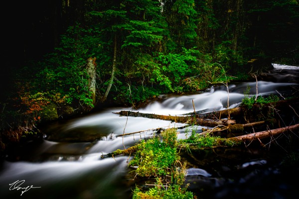 Source of Tranquility Print