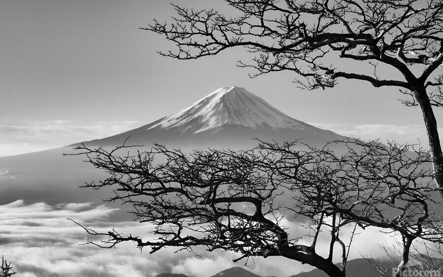japan uji maountain nature by Adriart Wall Art