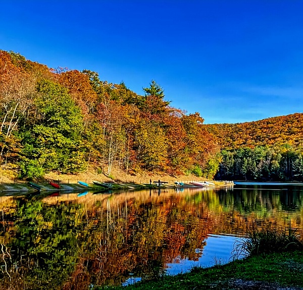 PA Reflection  by Mary Beth LaCroix