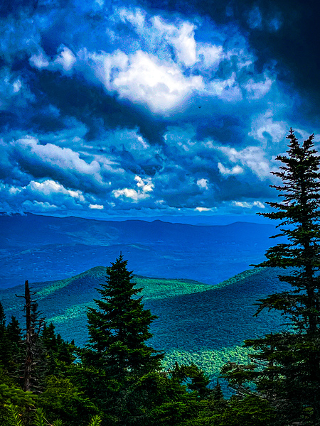 Heaven On Stowe by Mary Beth LaCroix