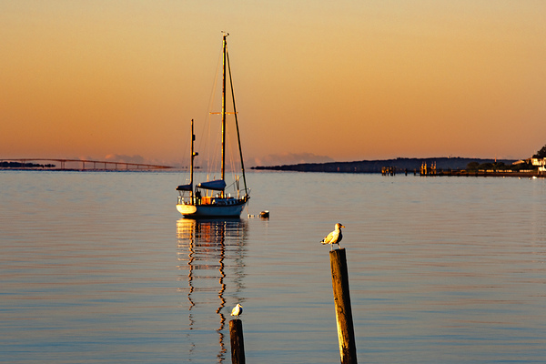 Sailing September  by Mary Beth LaCroix