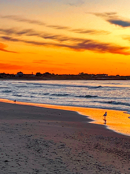 Golden Gansett by Mary Beth LaCroix