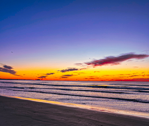 New England glory by Mary Beth LaCroix