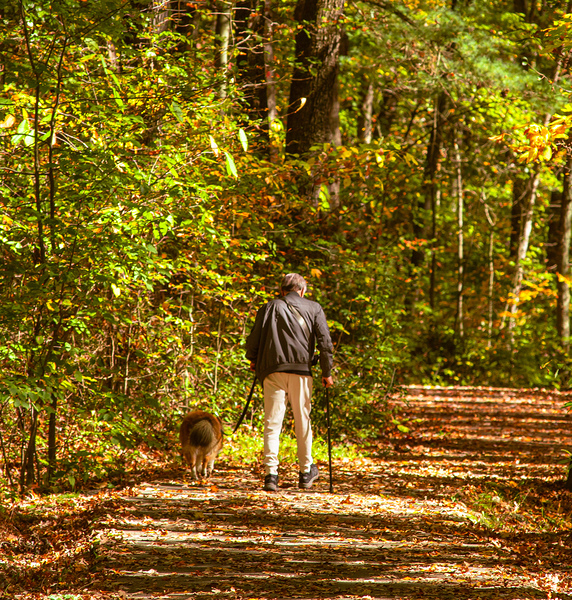 Two Pals Walking Each Other by Mary Beth LaCroix