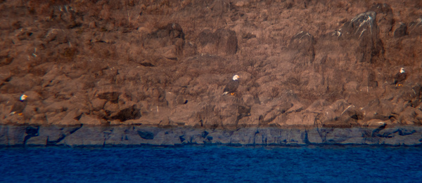 Eagle’s Dam Watch by Mary Beth LaCroix