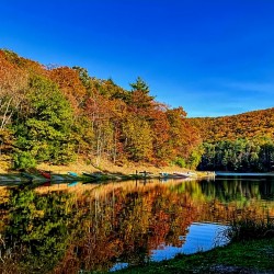 PA Reflection 