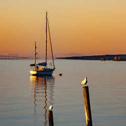 Sailing September 