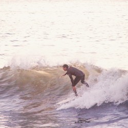Surf’s Up