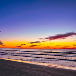 New England glory