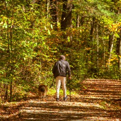 Two Pals Walking Each Other