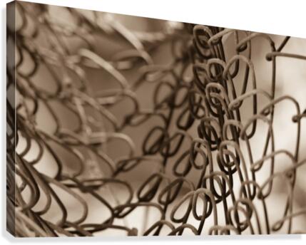 Twisted  Canvas Print