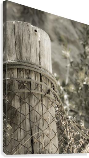 On the Ranch  Canvas Print