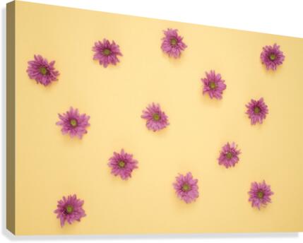 4 Canvas Print