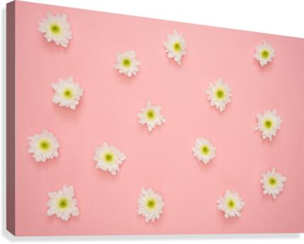 Transitions Canvas Print