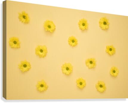 3 Canvas Print