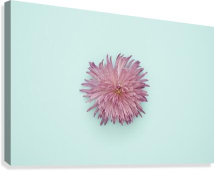 2 Canvas Print