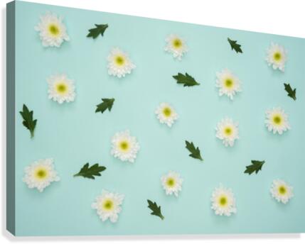 1 Canvas Print