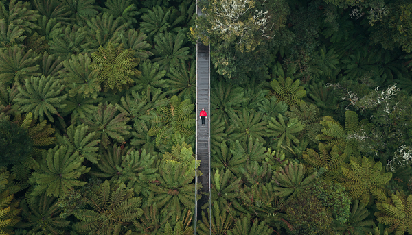 DJI 20230718170237 0042 D Edit Print