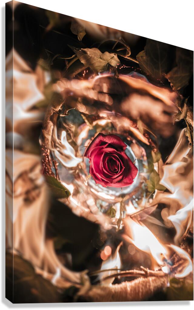 Flaming Flower Canvas Print