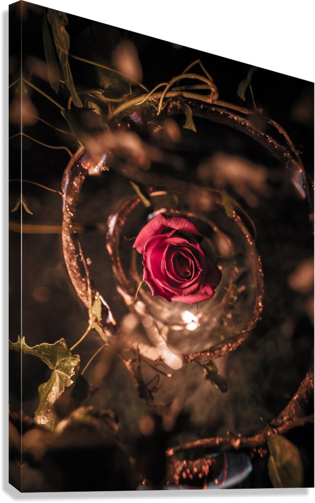 Burned Flower Canvas Print