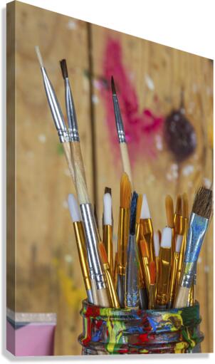 Pinceaux Canvas Print