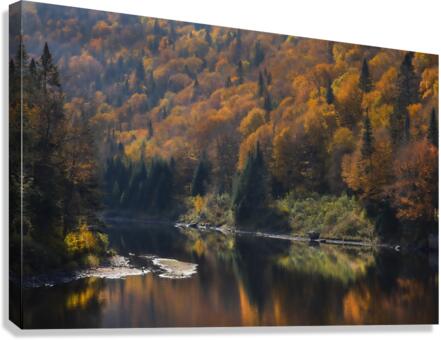 Foret Lac Canvas Print