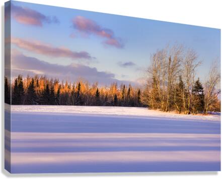 Sunset in snow Canvas Print