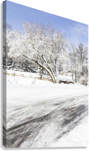 Chemin enneige Canvas Print