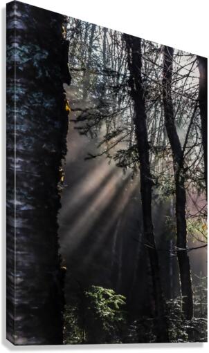 Divin Canvas Print