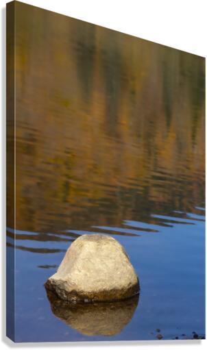 The stone Canvas Print