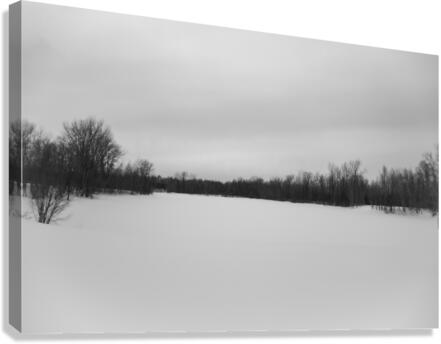 Medium NB Canvas Print
