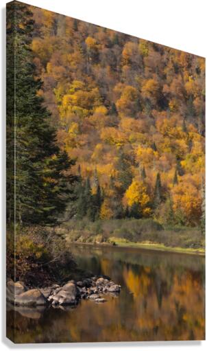 Fall Canvas Print
