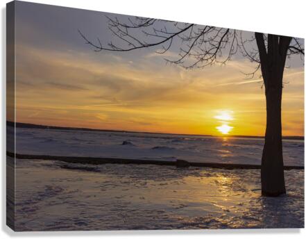 Alone Canvas Print