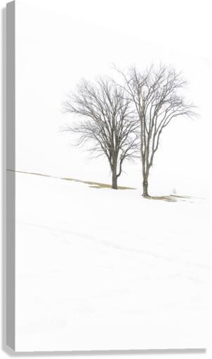 Only 2 Canvas Print