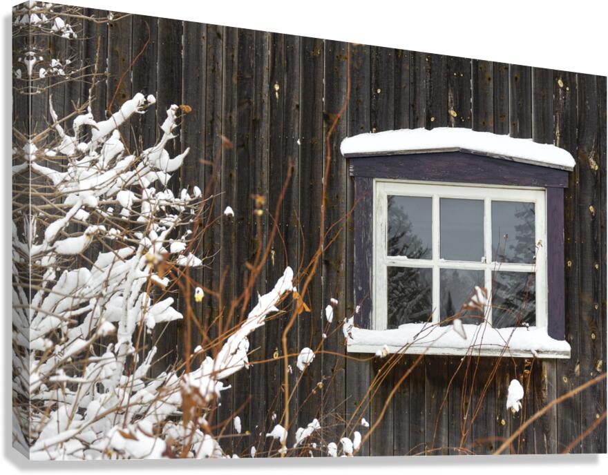 Barn Window Canvas Print