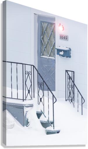The door Canvas Print
