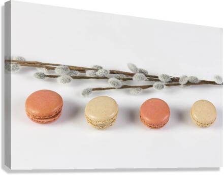 4 Macarons Canvas Print