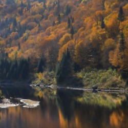 Foret Lac