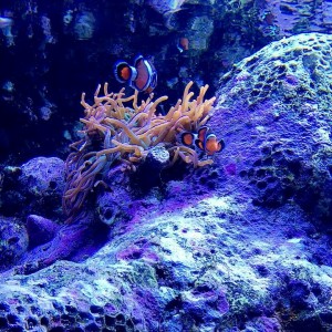 IMG_20170503_164022_331