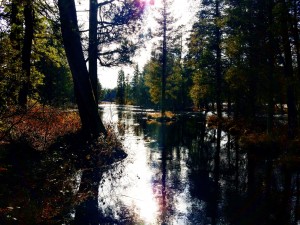 IMG_20180215_125919_343