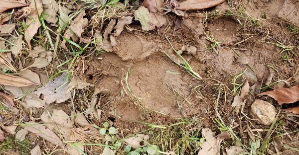 Snapchat 1522267205 Print