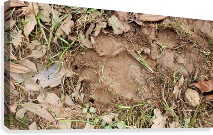 Snapchat 1522267205 Canvas Print