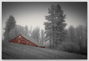 Winter Barn