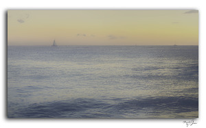 Paradise Dreaming